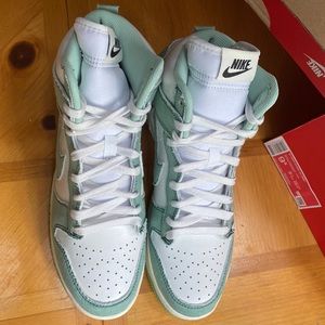 Brand new Nike Dunk High 1985
